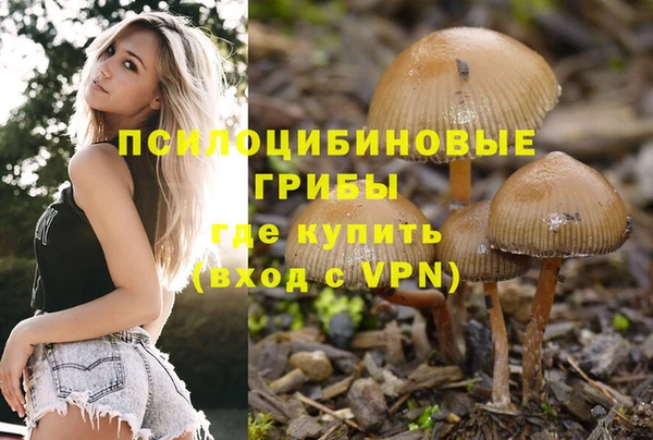 таблы Бородино
