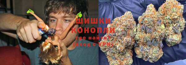 таблы Бородино