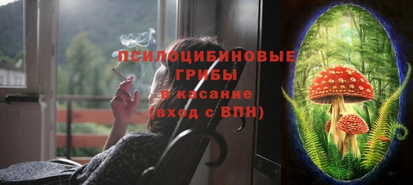таблы Бородино