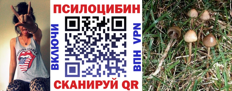 купить наркоту  Новосокольники  Галлюциногенные грибы прущие грибы 